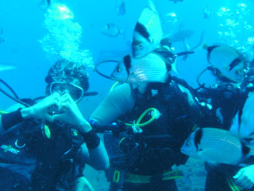 Constantis Wreck - Limassol