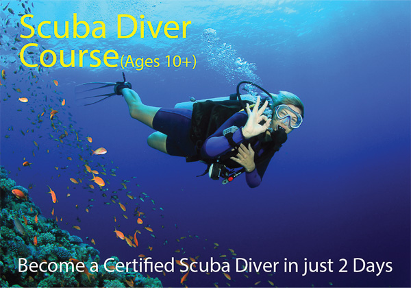Cool Divers Latchi - Scuba Diver course